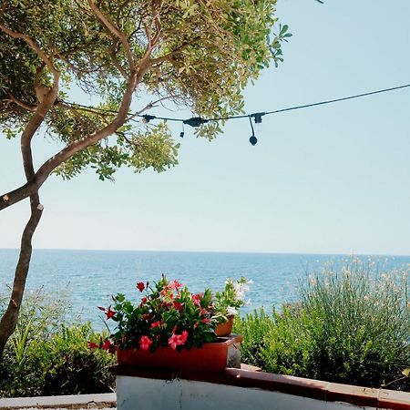Hotel Mediterraneo Sapri Esterno foto